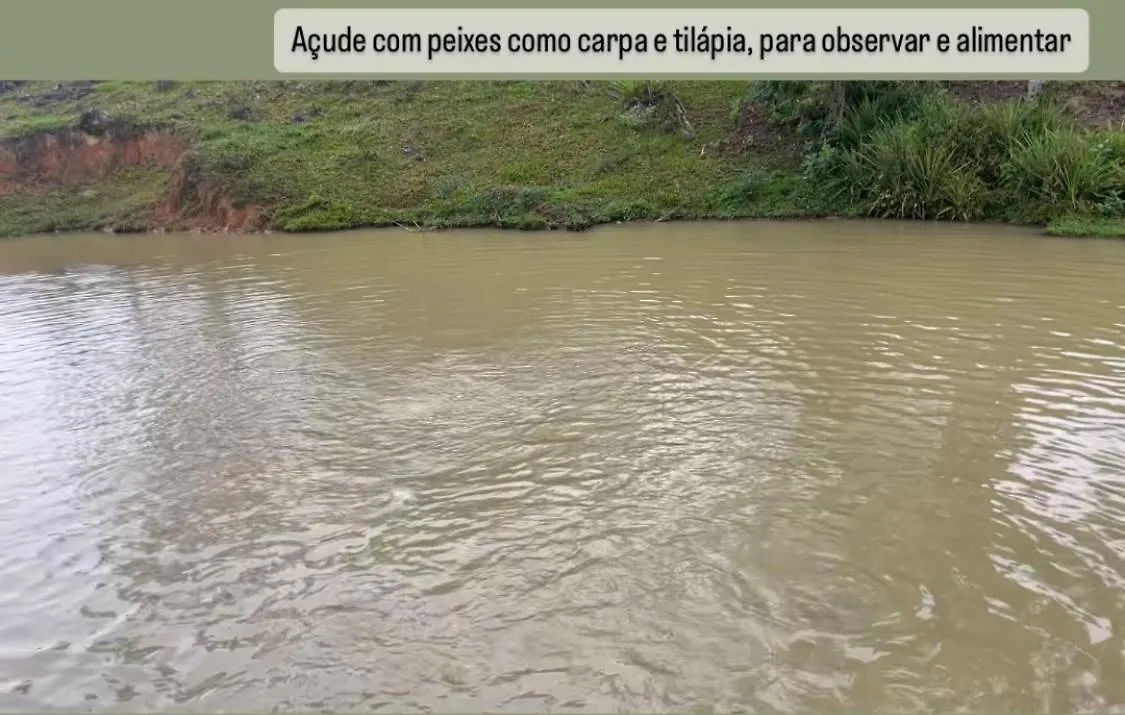 גראבאטל Refugio Nascer Das Aguas ברזיל